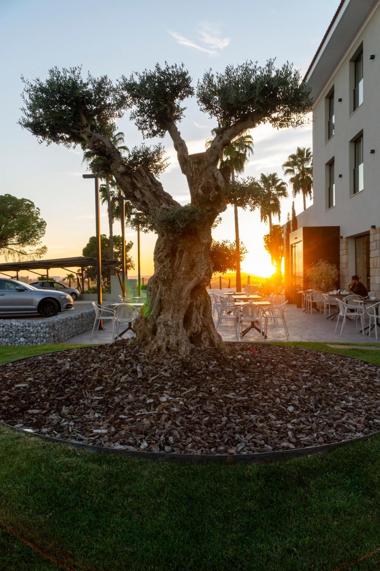 Hotel Rural Finca La Desa Miajadas 外观 照片